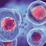 Stem Cell Banking Market