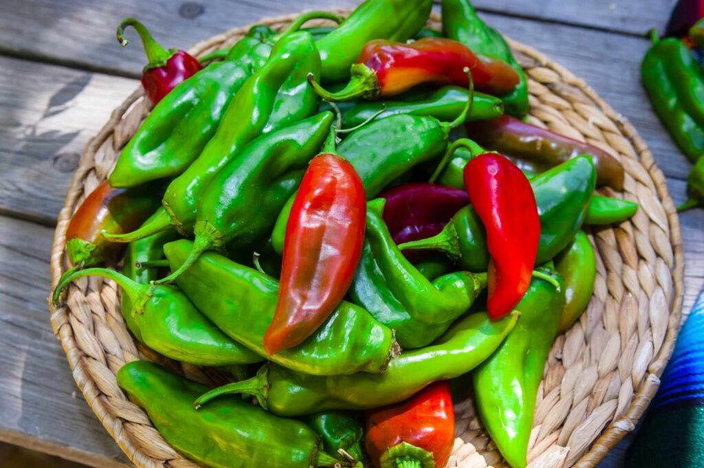 The Unique Flavors of Hatch New Mexico Chilies