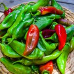 The Unique Flavors of Hatch New Mexico Chilies