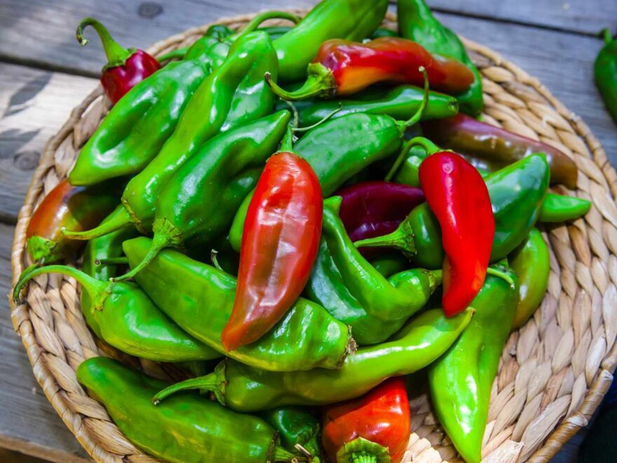 The Unique Flavors of Hatch New Mexico Chilies