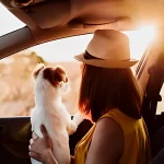 Traveling_With_Pets_In_The_San_Diego