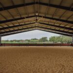 What’s the Best Size of Horse Riding Arena for You?