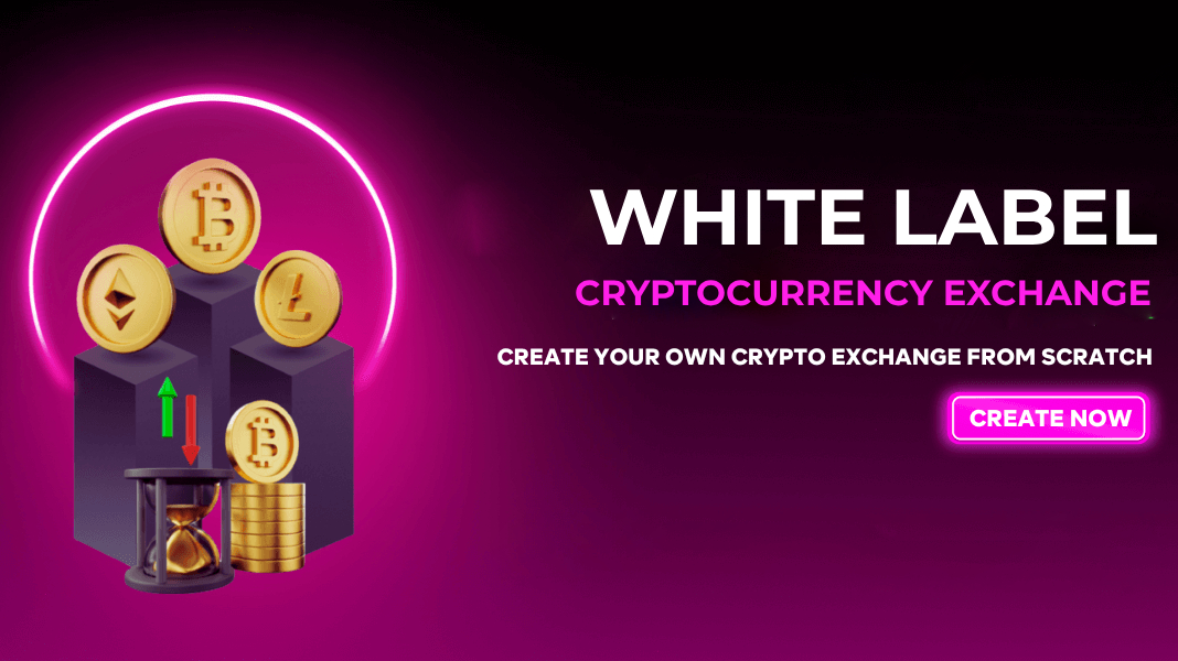 White Label Crypto Exchange Development Company