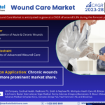 Forecasting the Wound Care Market: Trends, Share, and Size for 2028