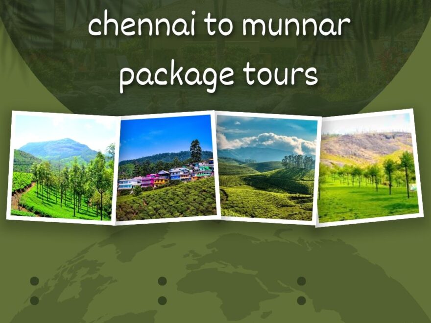 chennai to munnar package tours