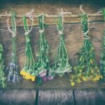 Preserving Seasonal Beauty: A Guide to Naturally Drying Flowers for Crafts