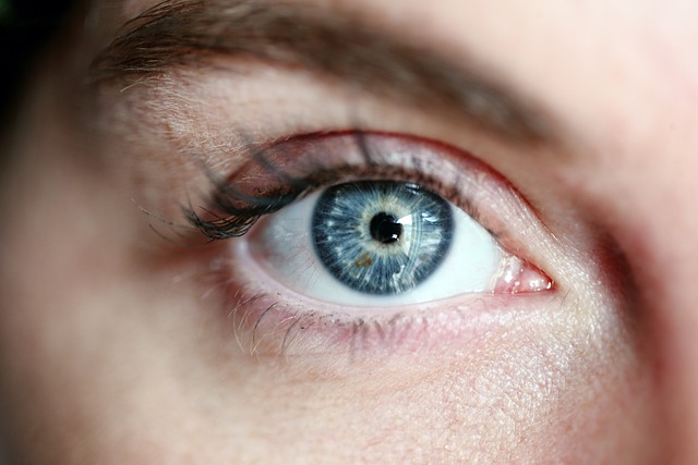 Oculoplasty: The Art and Science of Enhancing Eye Aesthetics