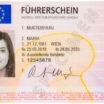 Austria Driver License