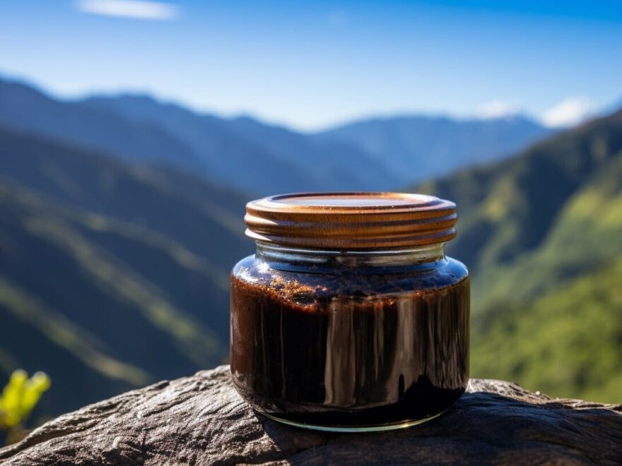 himalayan shilajit resin