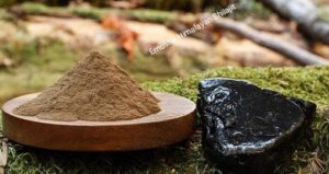 himalayan shilajit resin