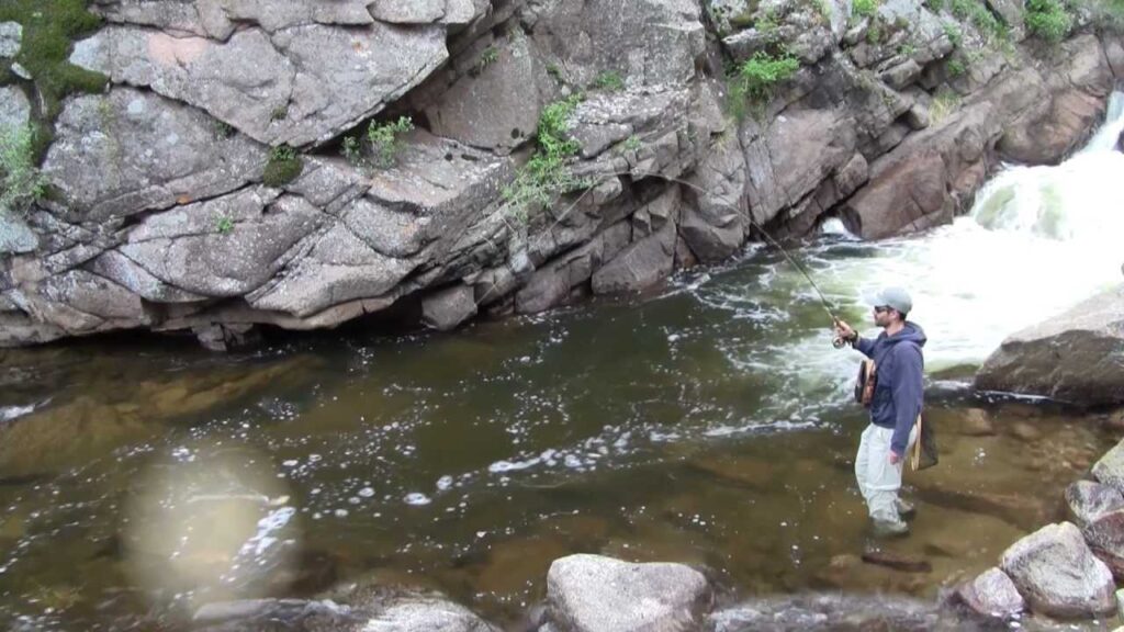 Navigating Nature’s Labyrinth: Tips for Fly Fishing Small Mountain Streams 