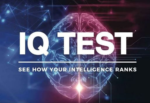 What does IQ measure?