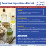 Botanical Ingredients Market: Analyzing the market values and market Forecast for 2030