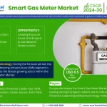 Smart Gas Meter Market – Navigating Industry Growth, Size, Share, and Ongoing Trends