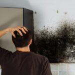 Black Mold On the wall