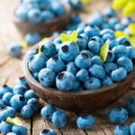 Blueberry Processing Plant Project Report 2024, Industry Trends, Business Plan, Cost and Revenue