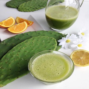 Cactus Juice