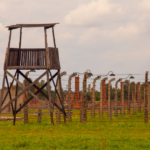 Concentration Camp History