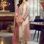 Pakistani Dresses Online USA 