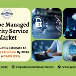 Europe Managed Security Service Market