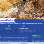 Grains Market – Navigating Industry Growth, Size, Share, and Ongoing Trends