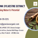 Gymnema Sylvestre extract