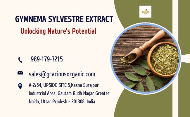 Gymnema Sylvestre extract