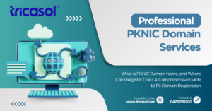 PKNIC Domain