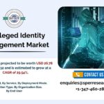 Privileged-Identity-Management-Market