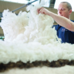 The Tale of Vispring: Crafting Quality Sheep Since 1901