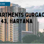 pwo apartments gurgaon rent