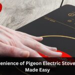 Pigeon Electric Stove