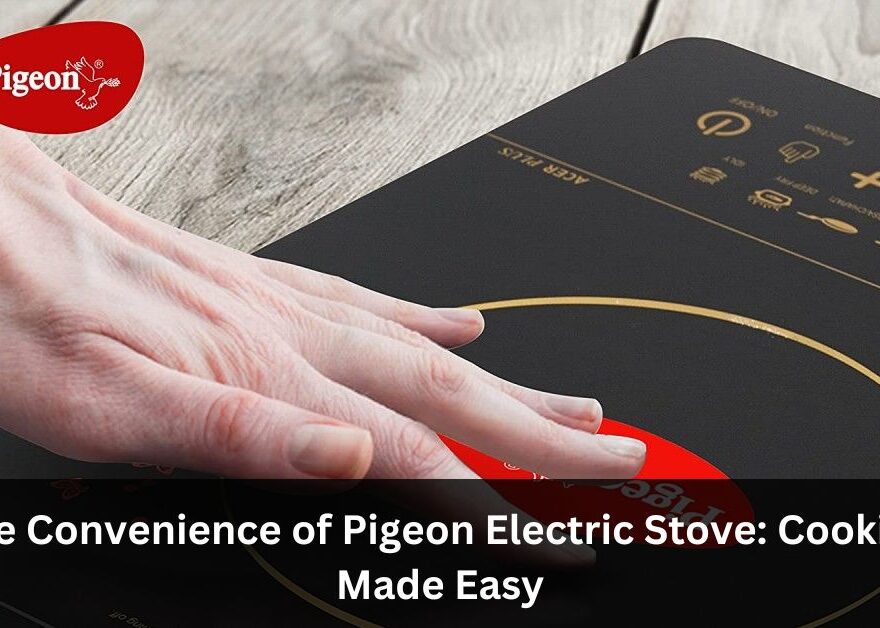 Pigeon Electric Stove