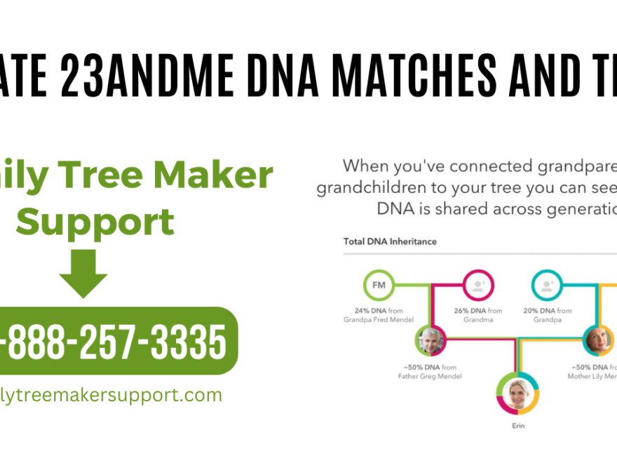 Updated 23andMe DNA Matches and Tree