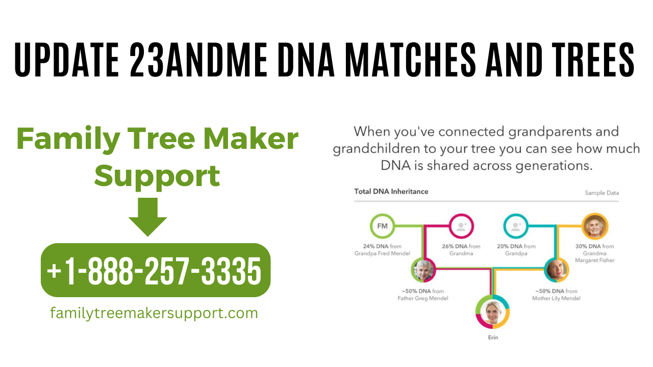 Updated 23andMe DNA Matches and Tree