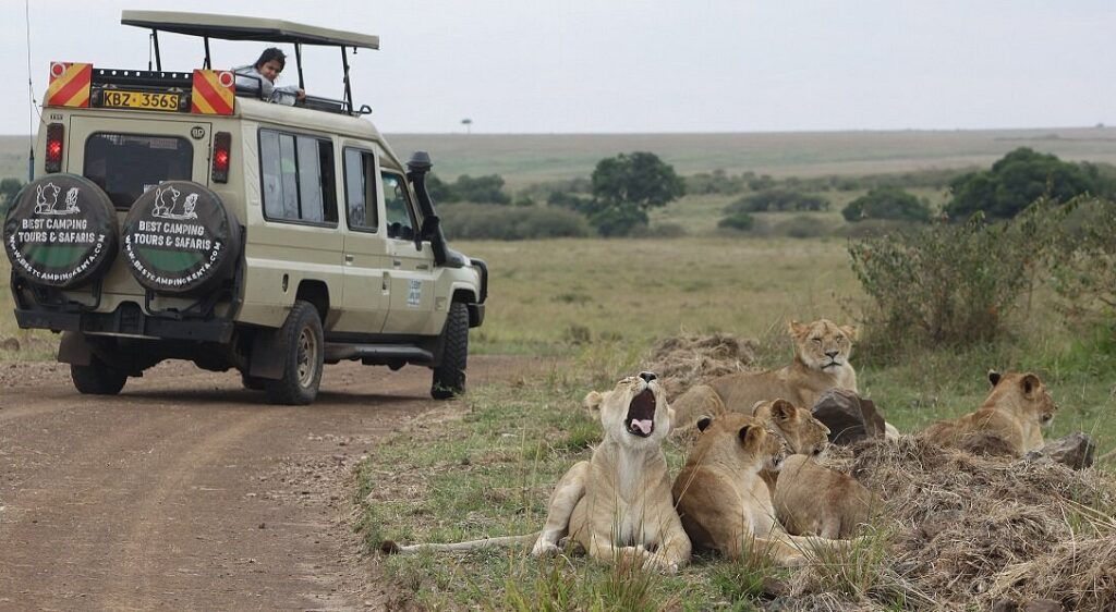 How many national parks are in Kenya?