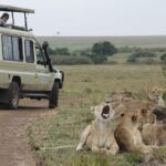 How many national parks are in Kenya?