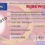 internationaal rijbewijs