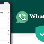 Download FMWhatsApp APK Latest Version January 2024