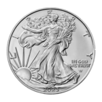 Silver Eagle Coins: Navigating Through History and Investment Avenues