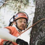 Tree Removal Ottawa