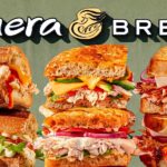 sandwich Panera Bread