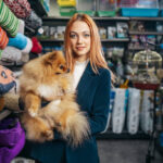 online dog pet shop