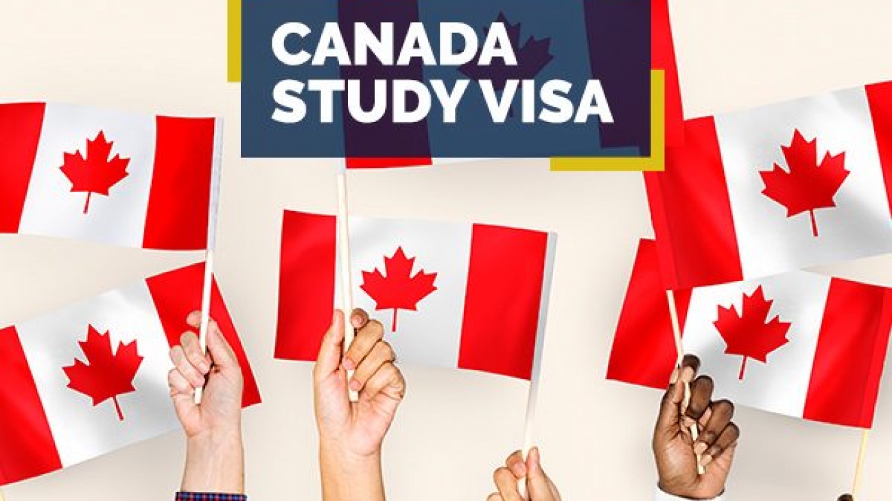 Making Friends Is Crucial When Studying in Canada: How Can You Do It?