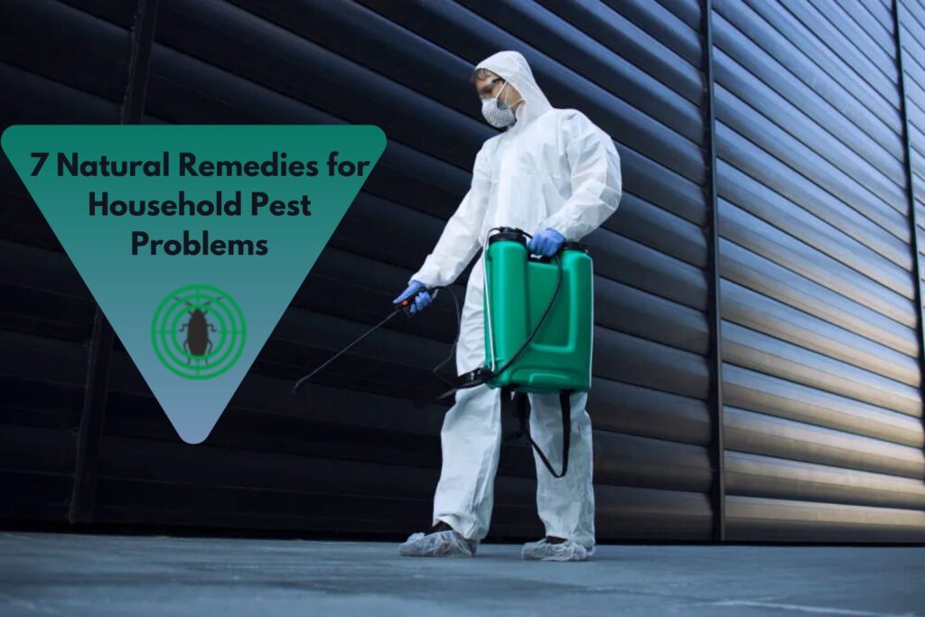 7 Natural Remedies for Household Pest Problems