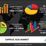 Caprylic Acid Market Research Scope Industry Chain Analysis & Opportunities 2024 to 2033