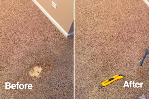 Carpet repairs near me