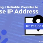 Leasing IPv4 Addresses