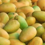 Pakistani Mango Price in Pakistan