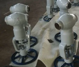 Pressure Seal Globe Valve Manufacturer in USA
